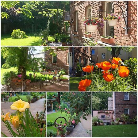 City Appartement Mit Garten, Zentral Und Trotzdem Ruhig Cottbus Luaran gambar