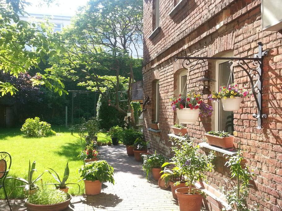 City Appartement Mit Garten, Zentral Und Trotzdem Ruhig Cottbus Luaran gambar