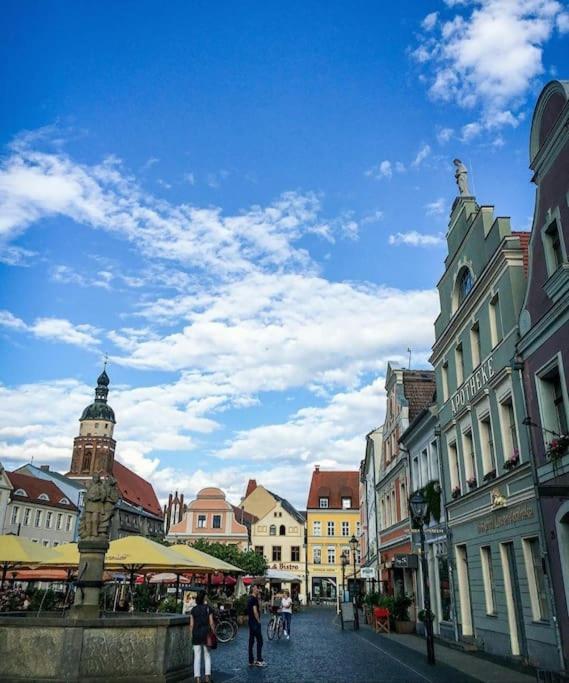 City Appartement Mit Garten, Zentral Und Trotzdem Ruhig Cottbus Luaran gambar