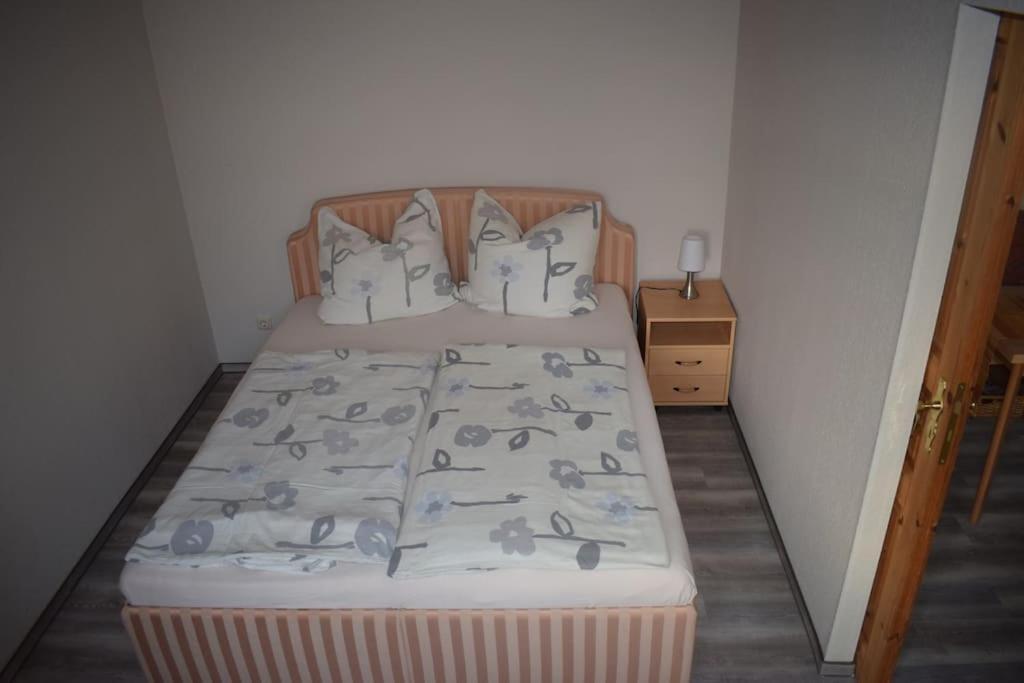 City Appartement Mit Garten, Zentral Und Trotzdem Ruhig Cottbus Luaran gambar