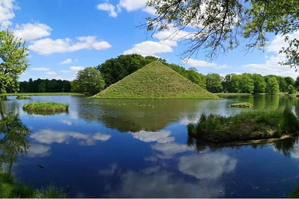 City Appartement Mit Garten, Zentral Und Trotzdem Ruhig Cottbus Luaran gambar