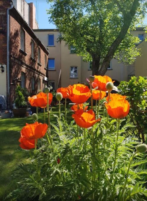 City Appartement Mit Garten, Zentral Und Trotzdem Ruhig Cottbus Luaran gambar